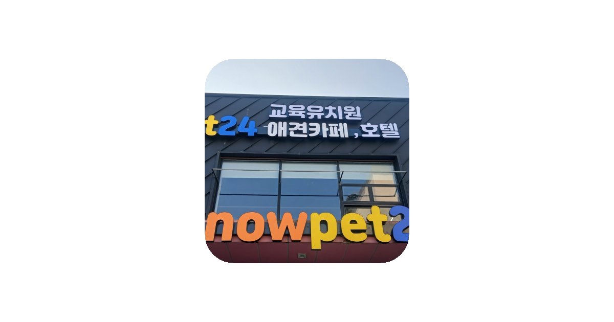 공유 카드