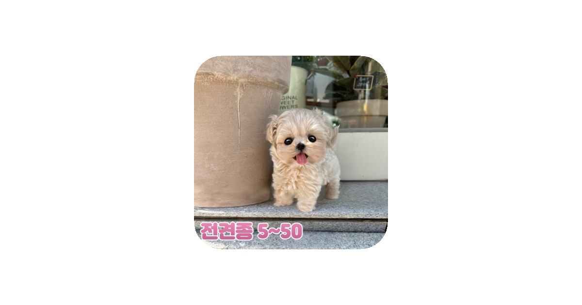 공유 카드
