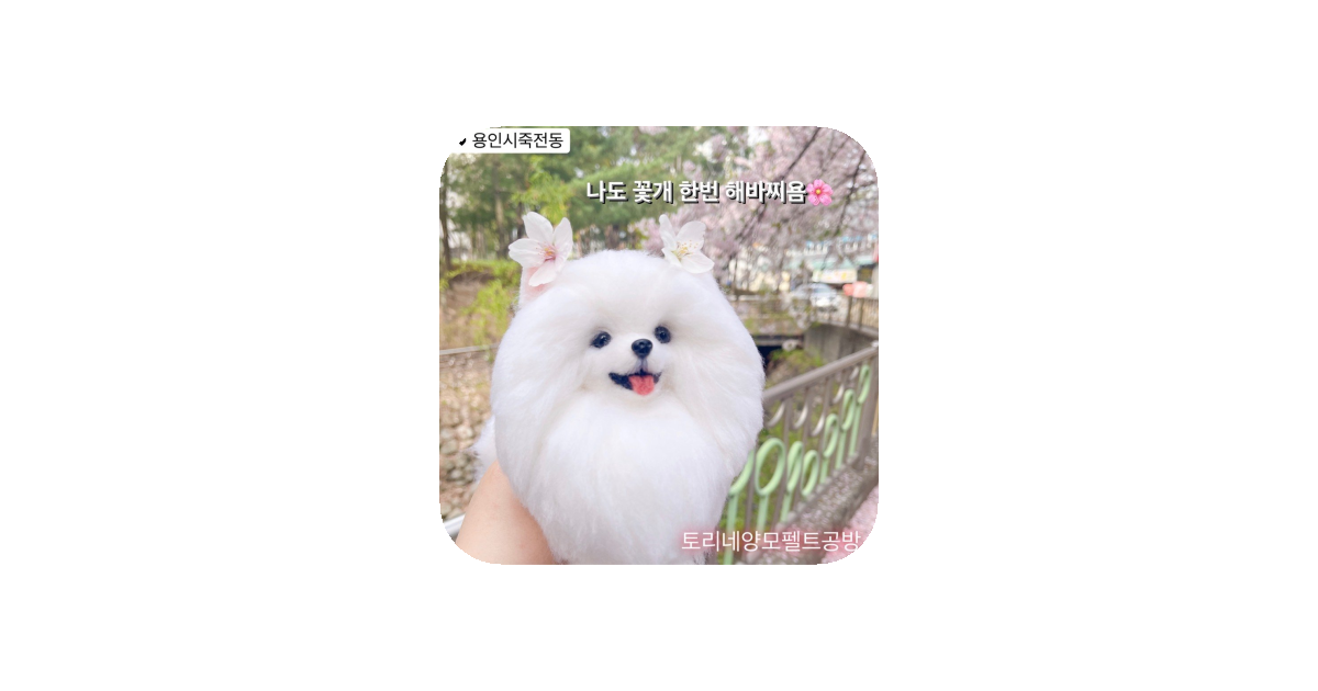 공유 카드