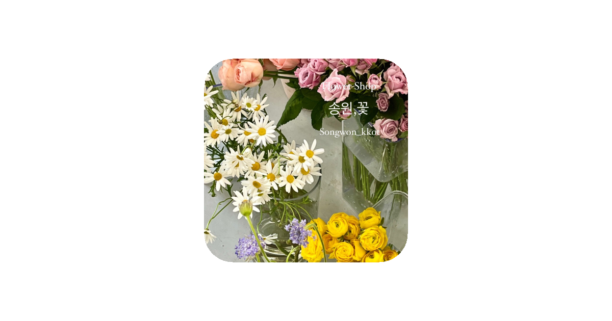 공유 카드