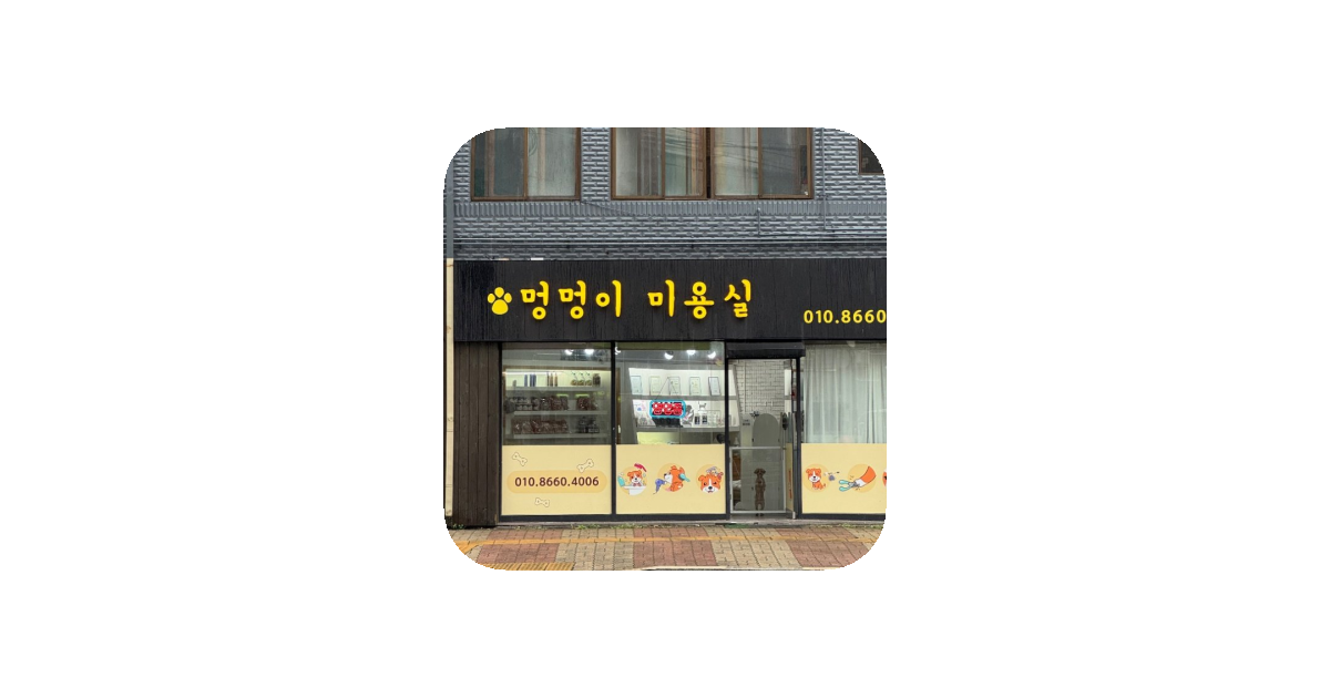 공유 카드