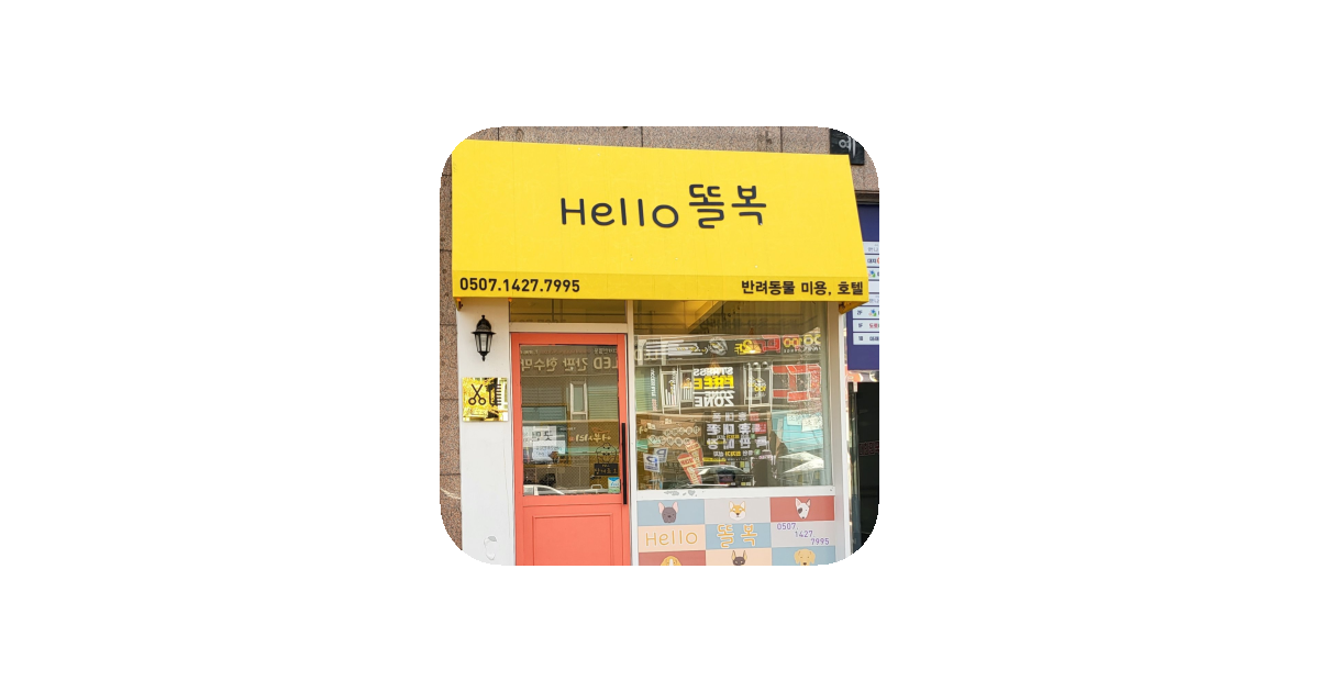 공유 카드