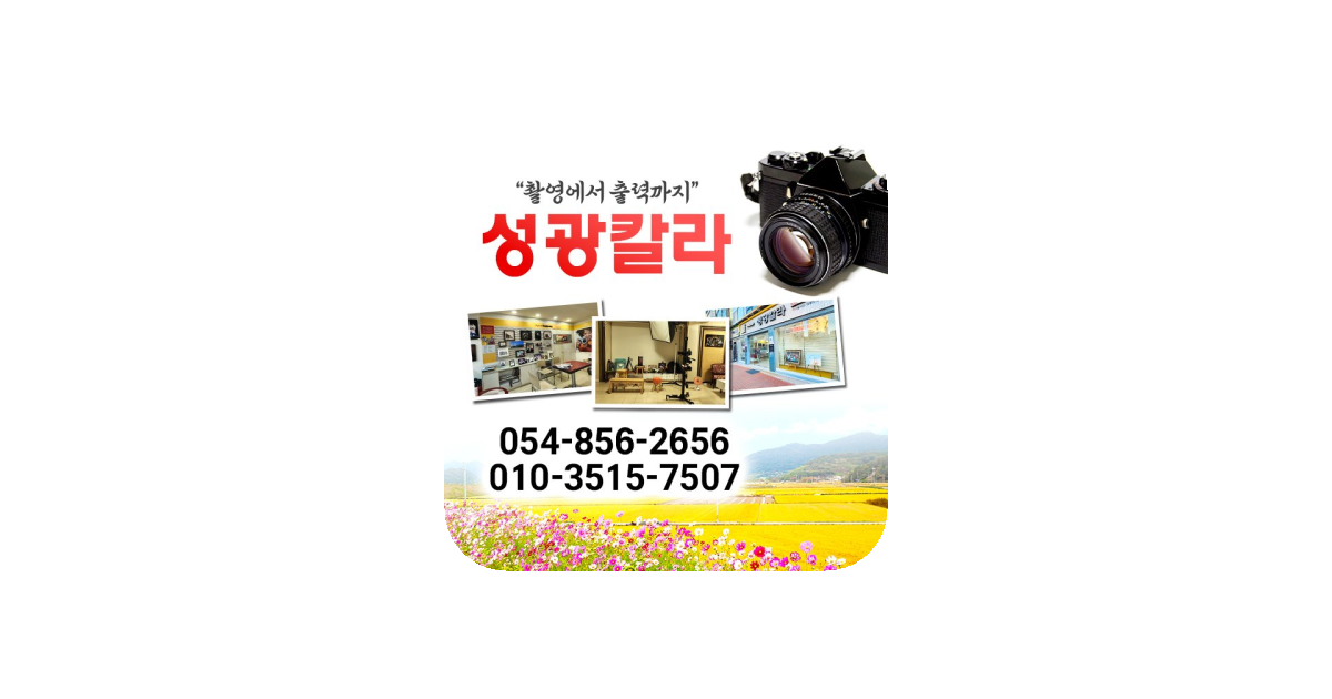 공유 카드