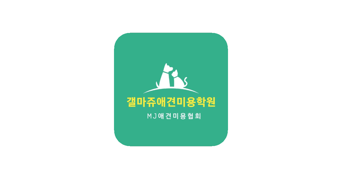 공유 카드