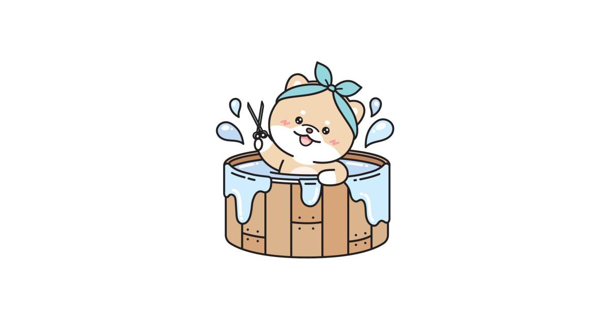 공유 카드