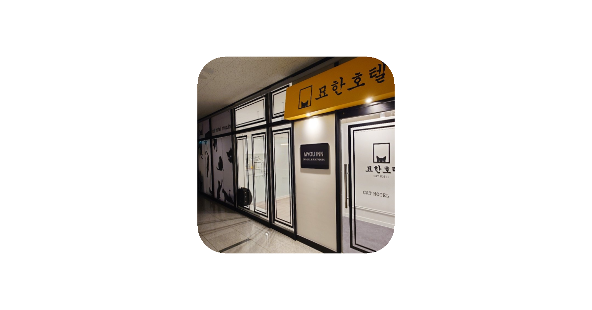 공유 카드