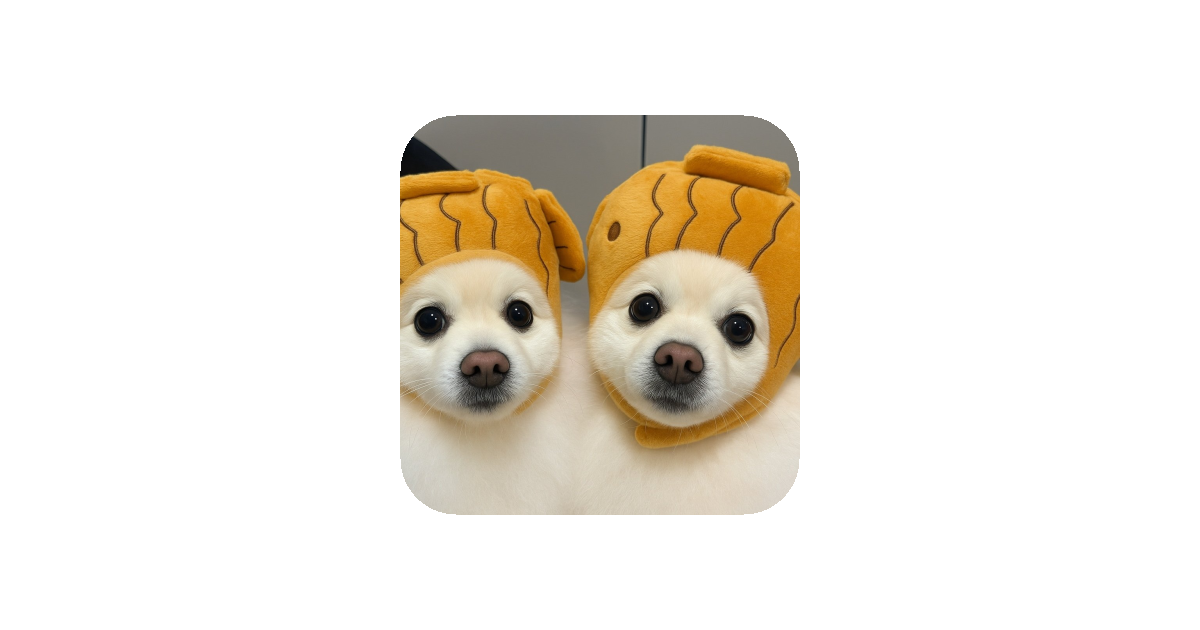 공유 카드