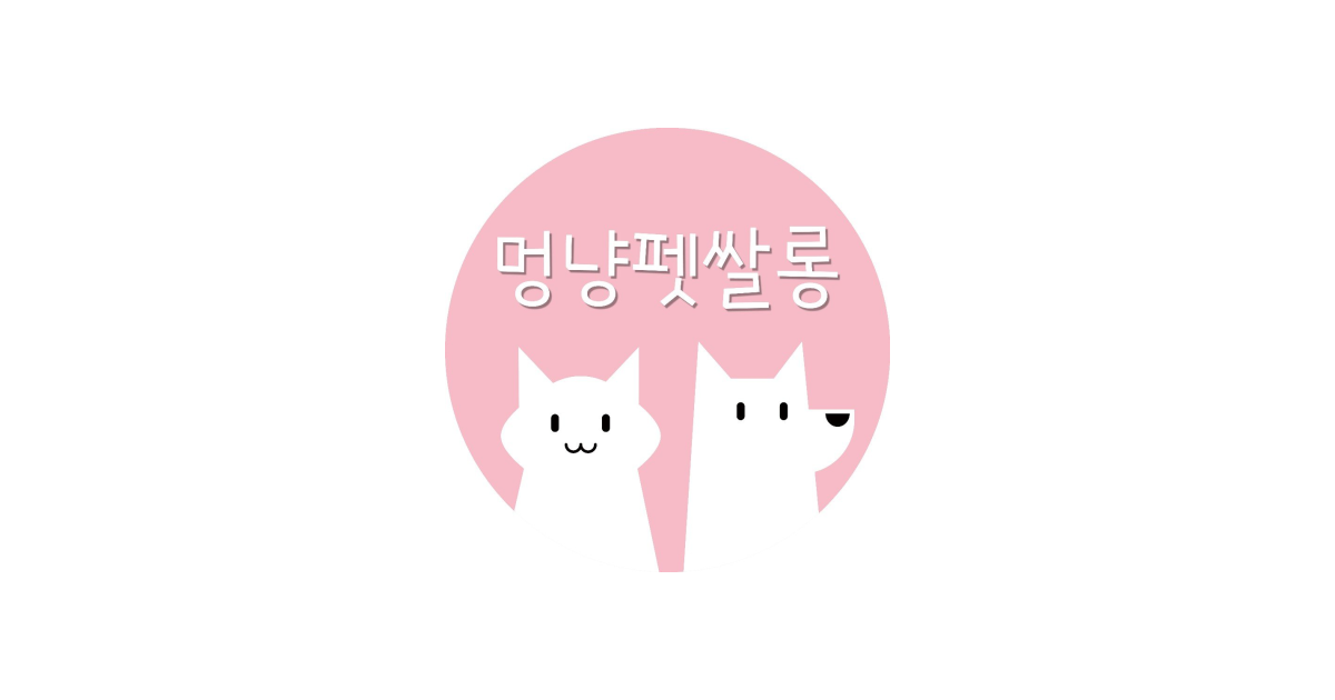 공유 카드