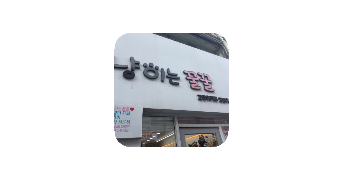공유 카드