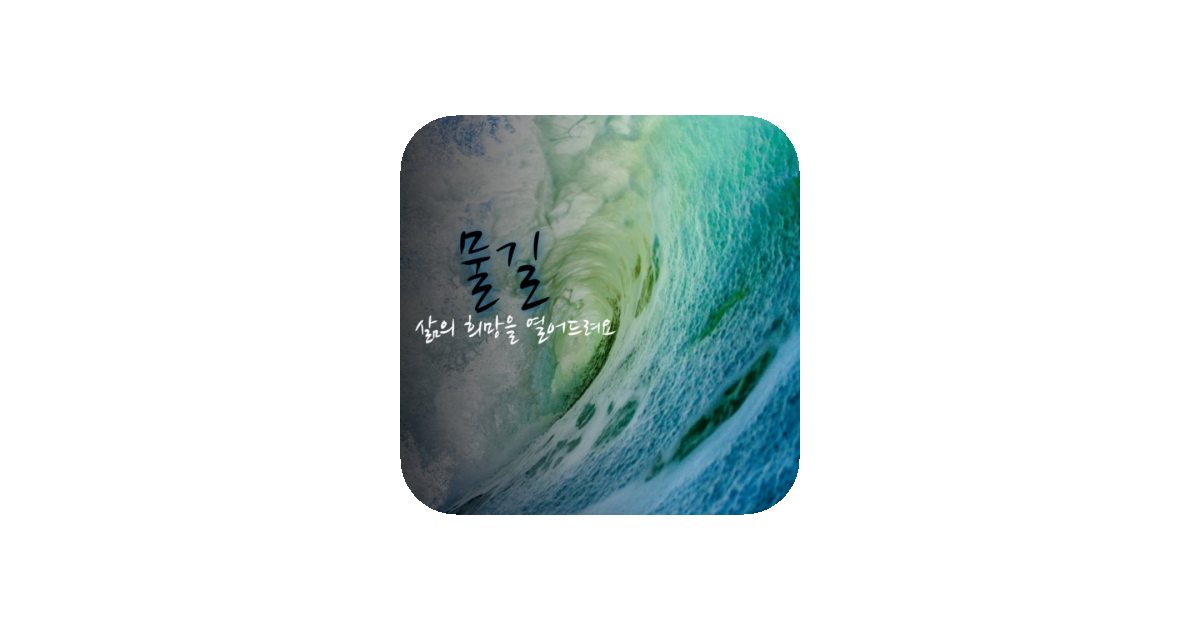 공유 카드