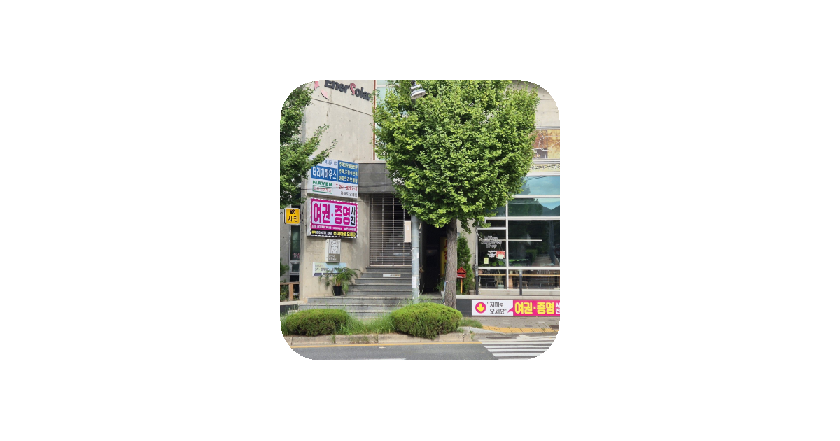 공유 카드