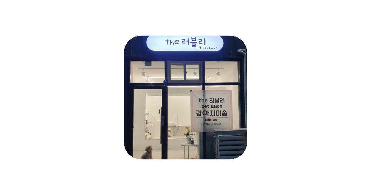 공유 카드