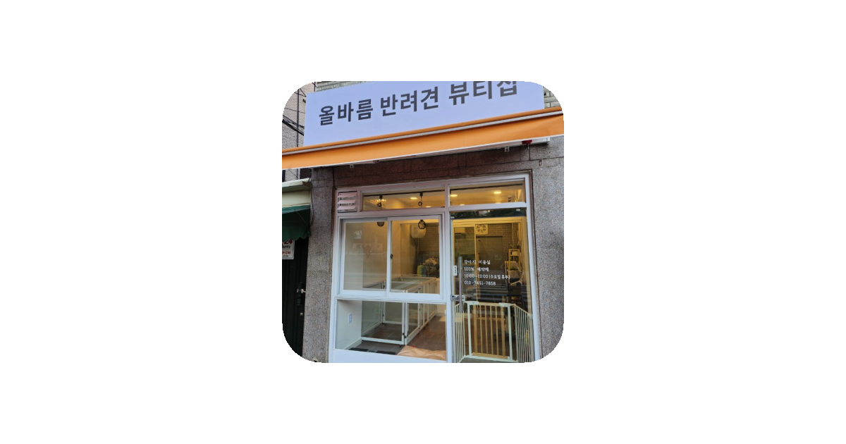 공유 카드