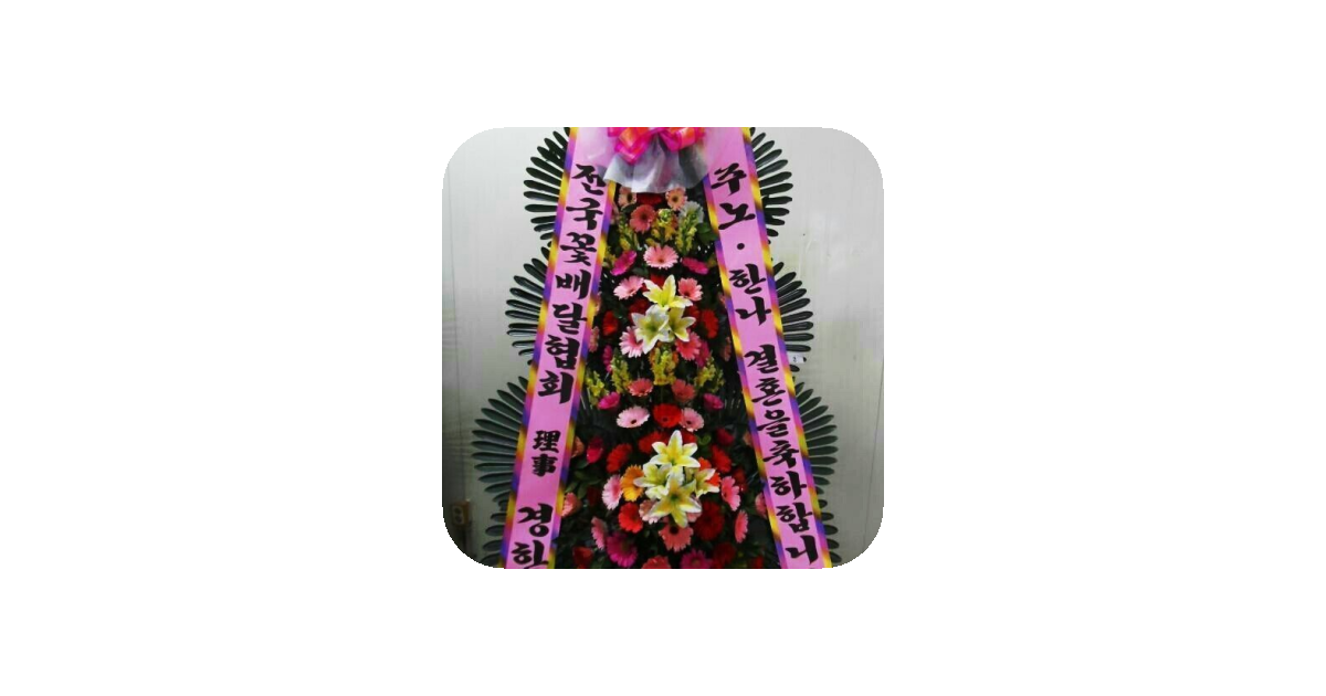공유 카드
