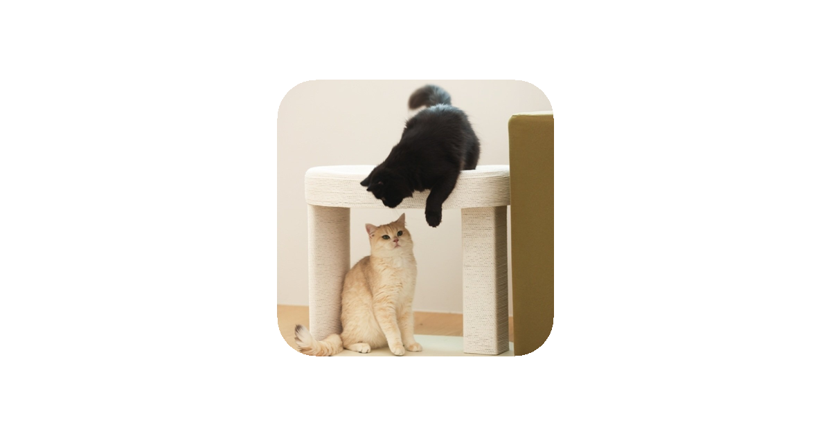 공유 카드