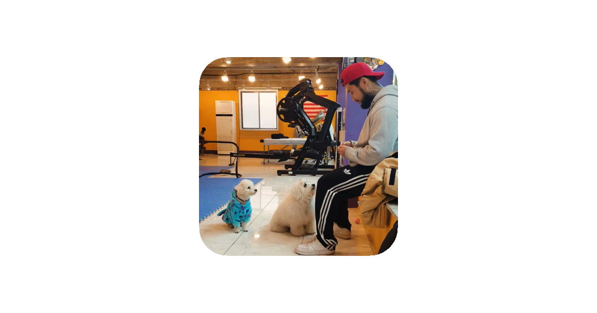 공유 카드