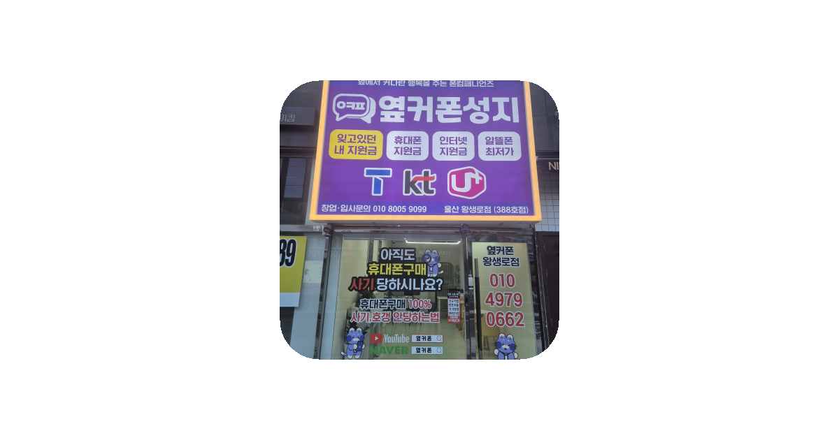 공유 카드