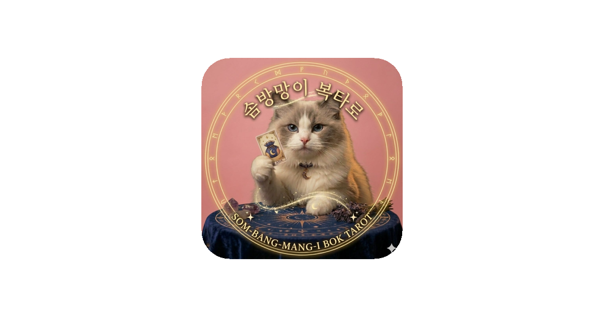 공유 카드