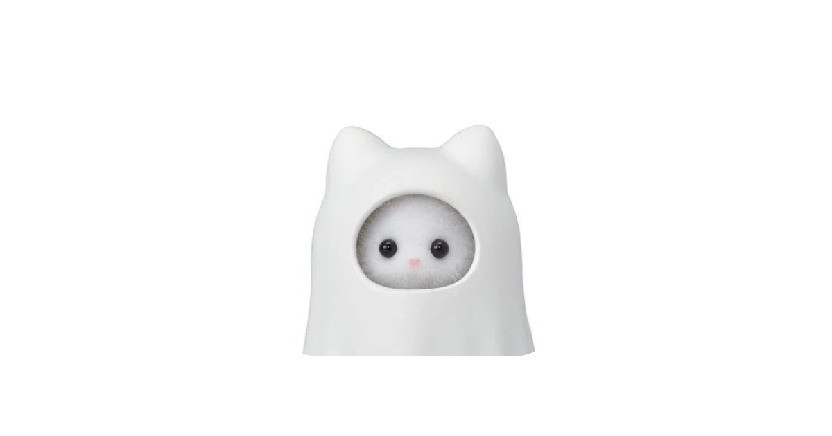 공유 카드