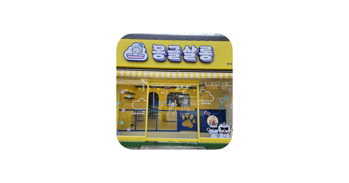 공유 카드