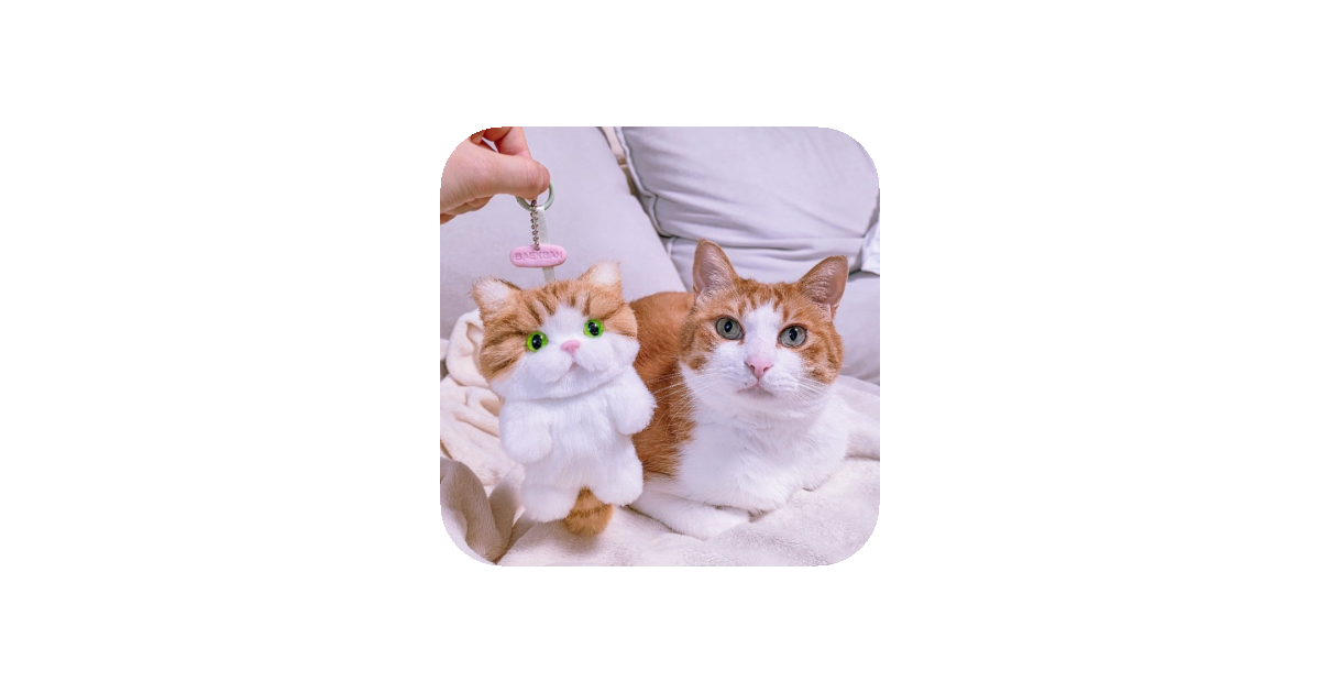 공유 카드