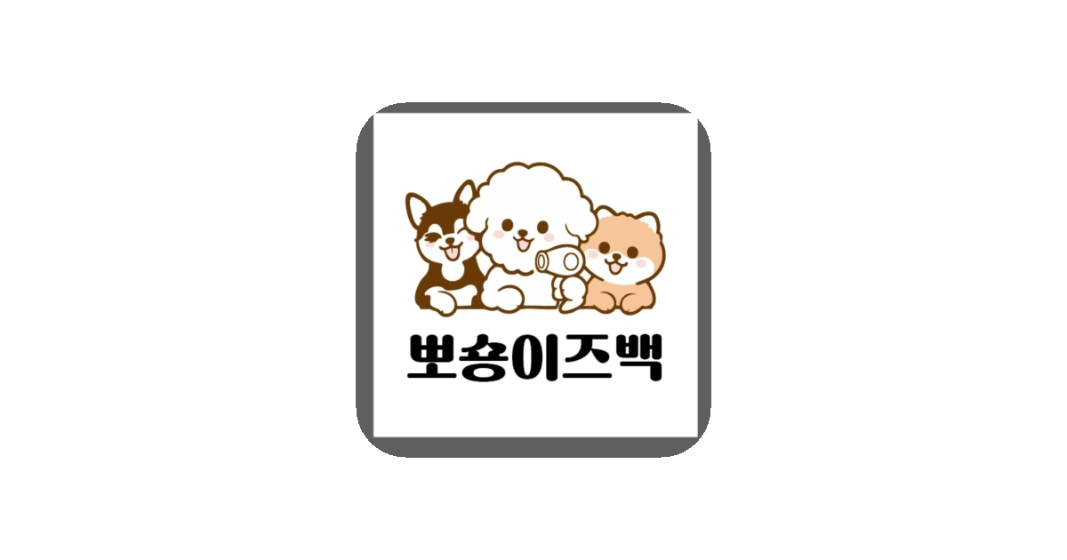 공유 카드