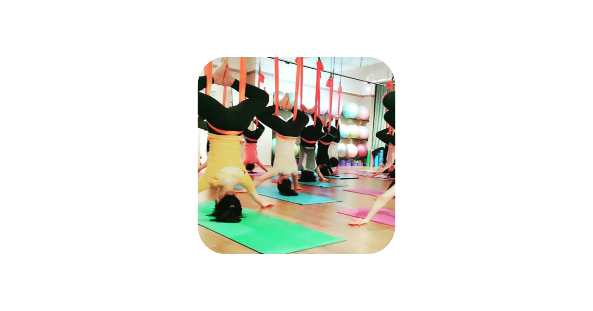 공유 카드