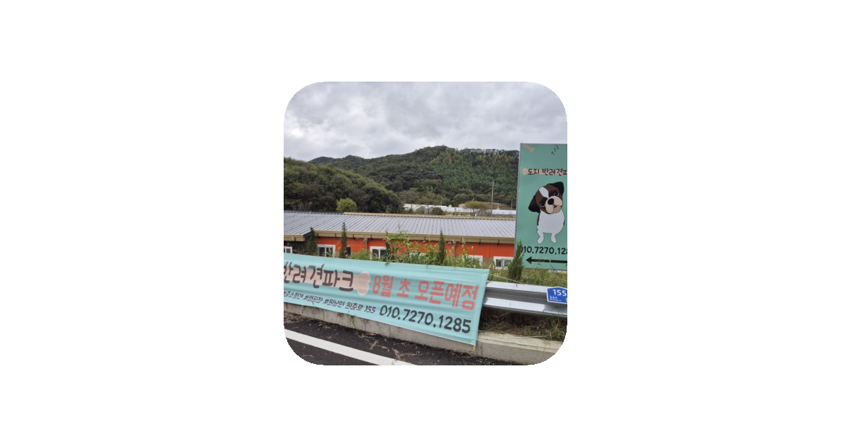 공유 카드