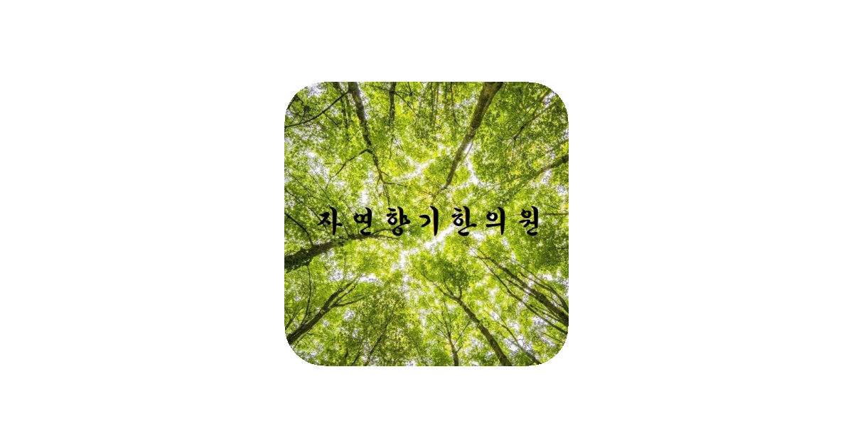 공유 카드