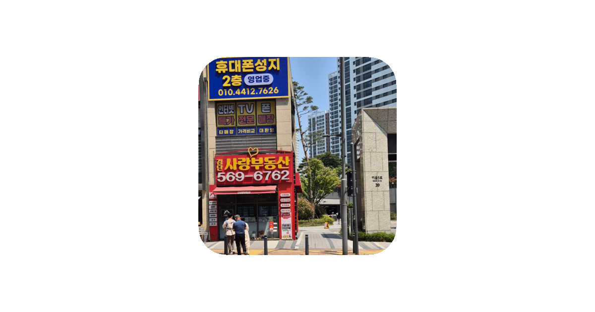 공유 카드