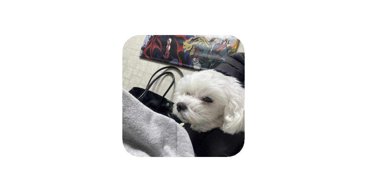 공유 카드