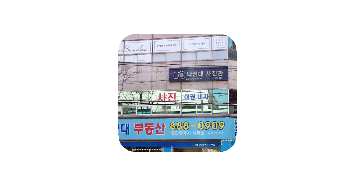 공유 카드