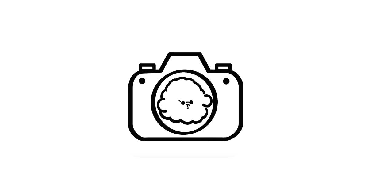 공유 카드