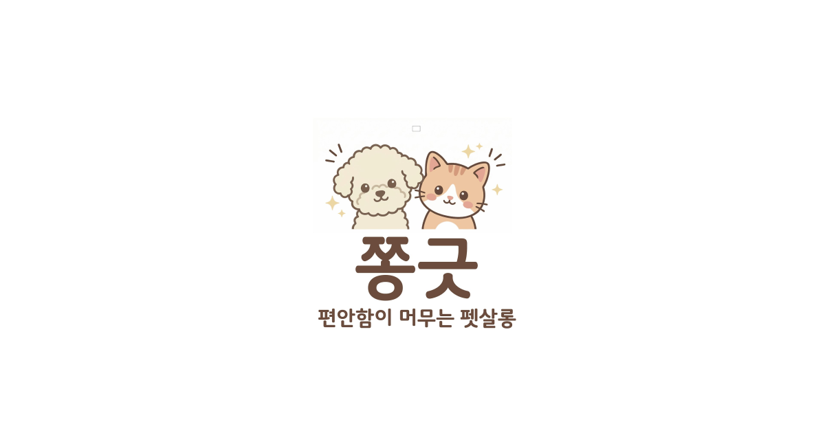 공유 카드