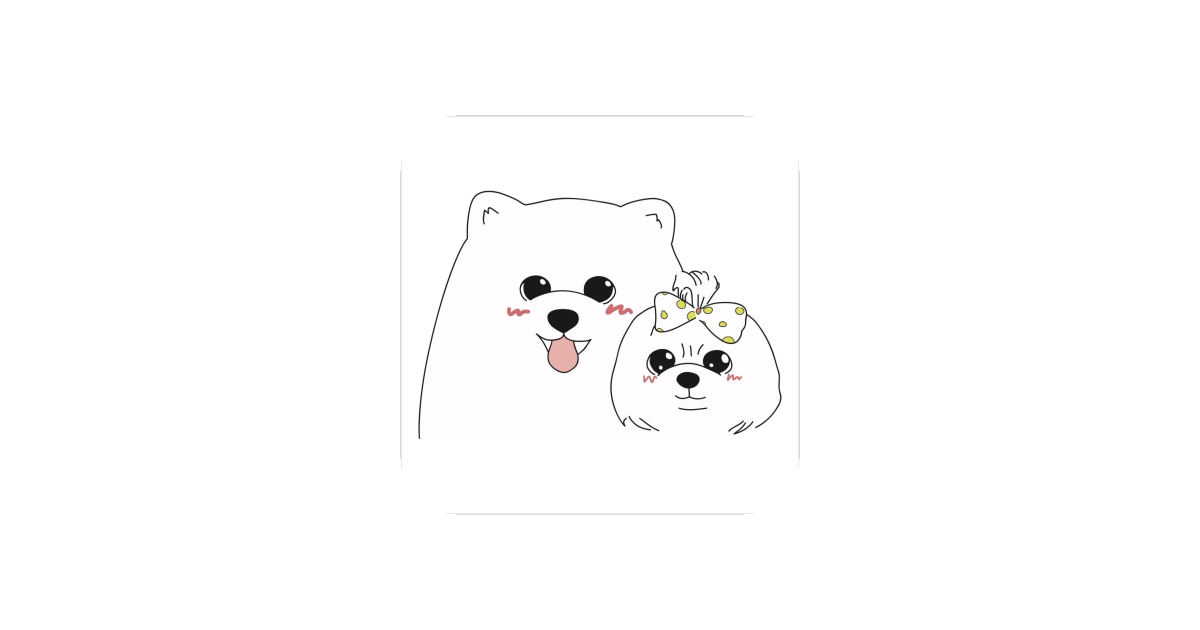 공유 카드