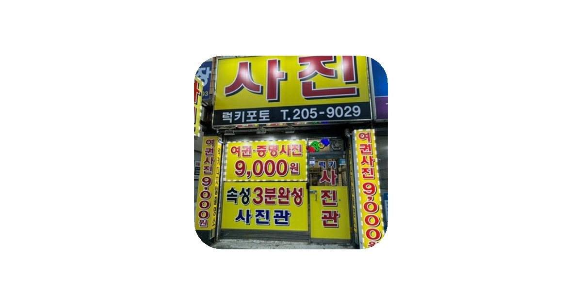 공유 카드
