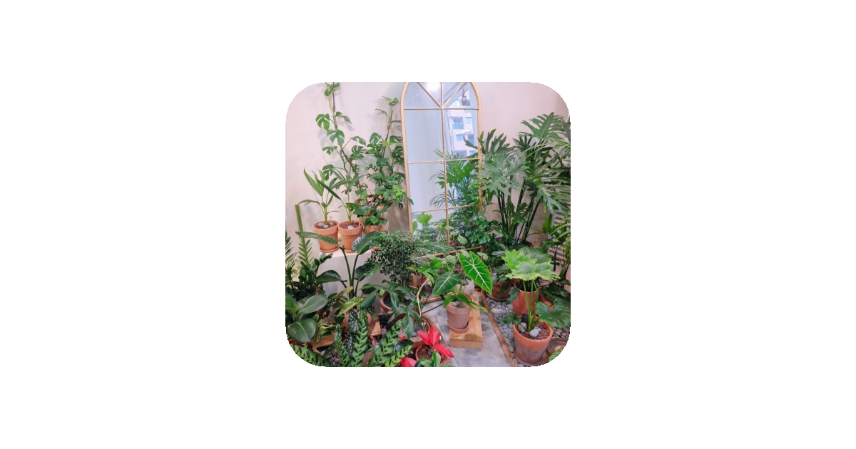 공유 카드