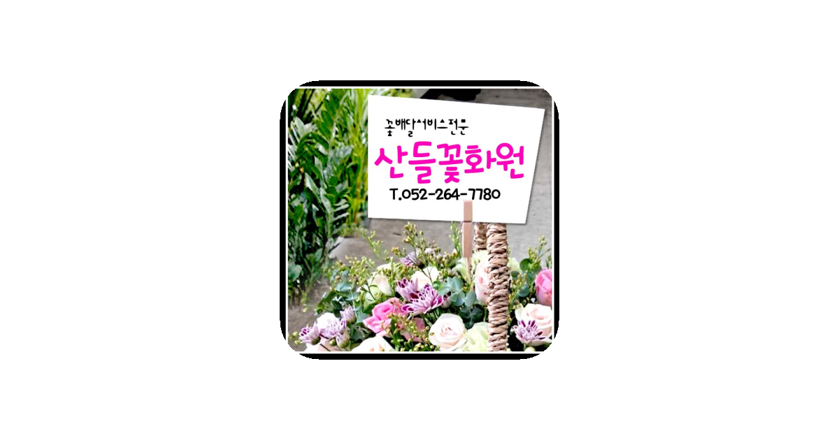 공유 카드