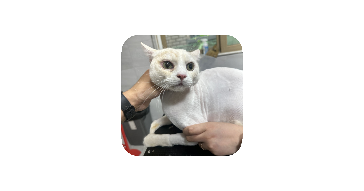 공유 카드
