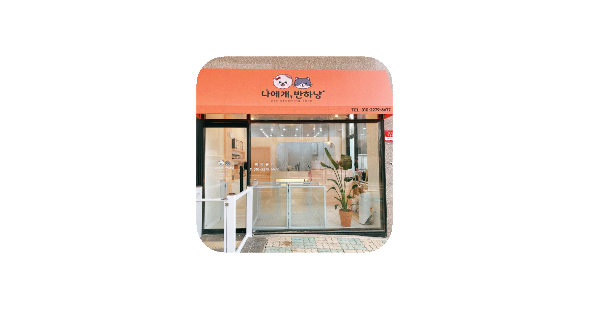 공유 카드