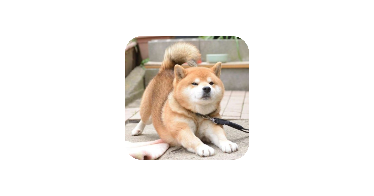 공유 카드