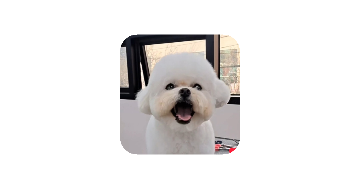 공유 카드