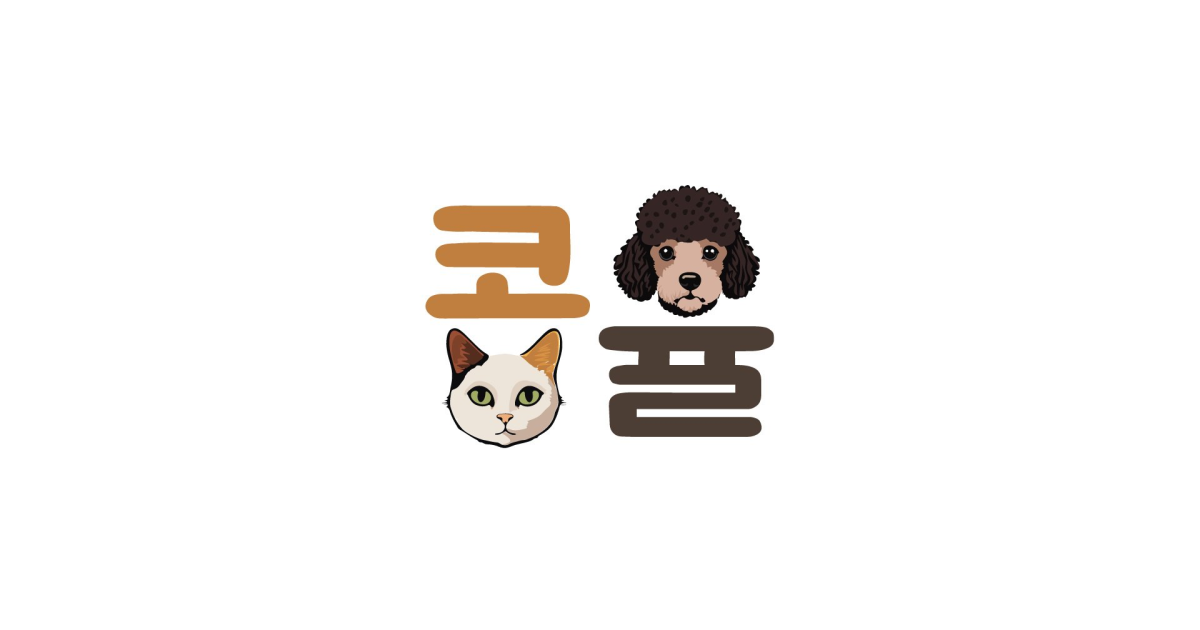 공유 카드