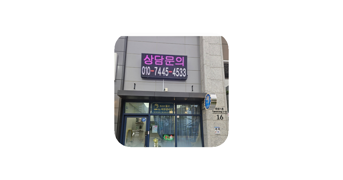 공유 카드