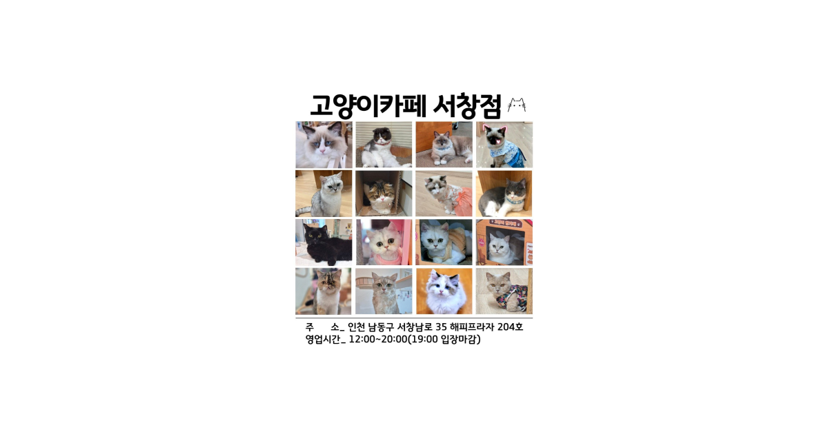 공유 카드
