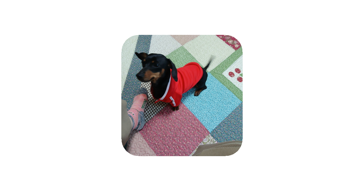 공유 카드