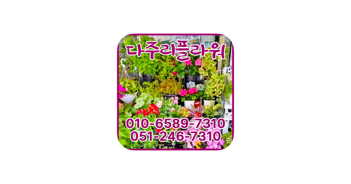공유 카드