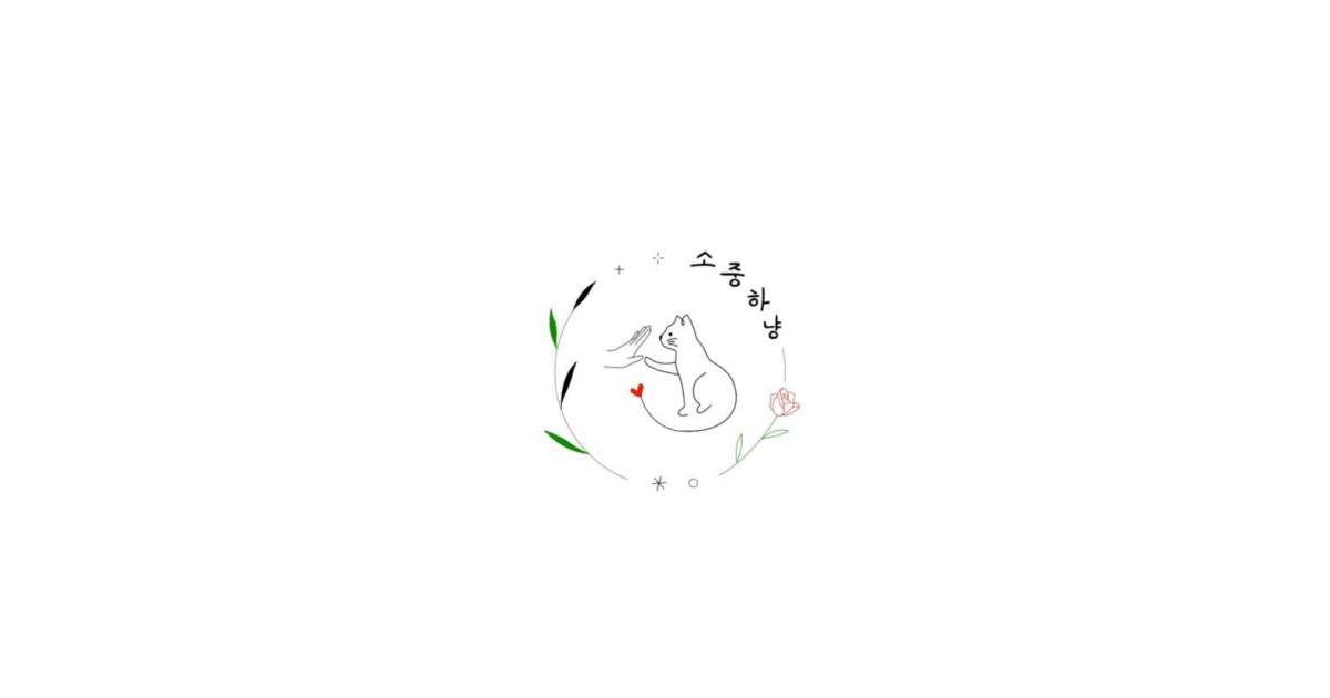 공유 카드