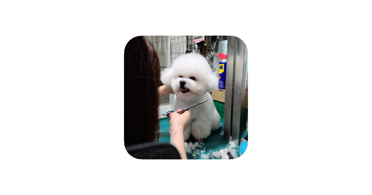 공유 카드