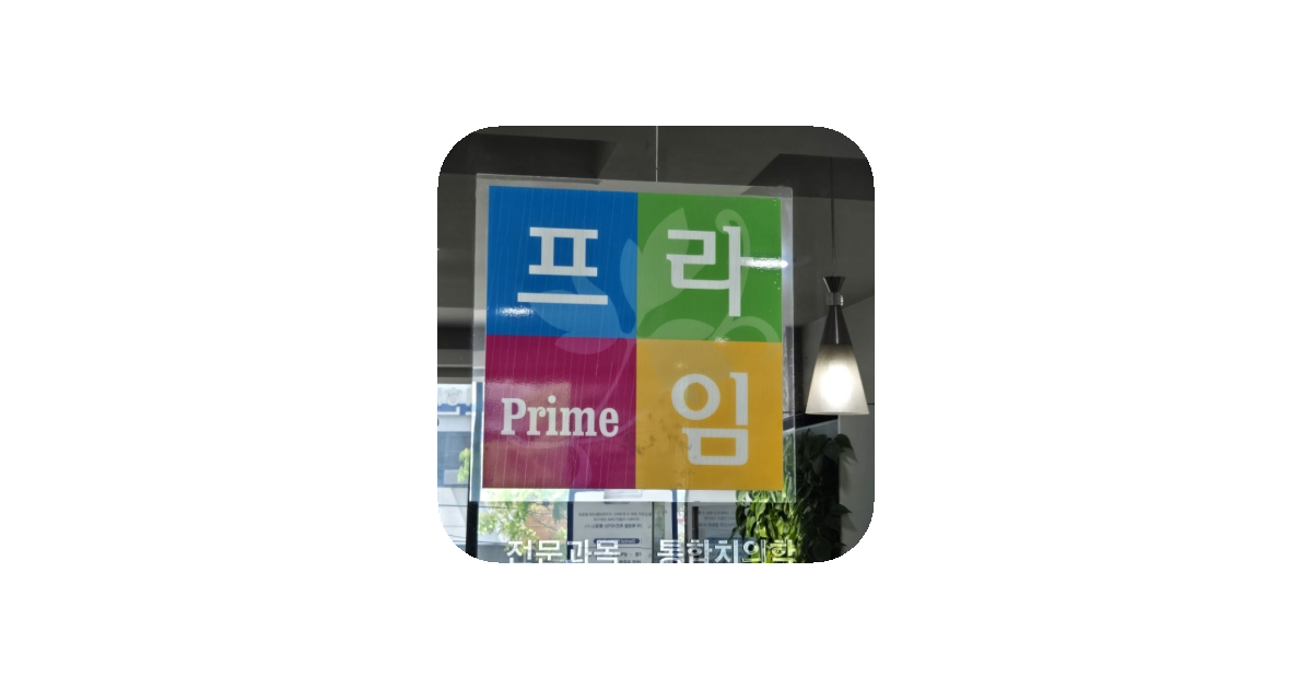 공유 카드